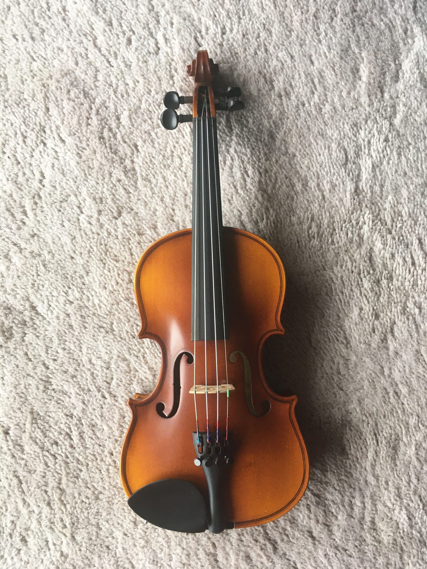 1/10 size new Raggetti RV2 violin outfit
